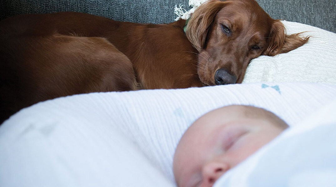 Σκυλί και μωρό που κοιμούνται
