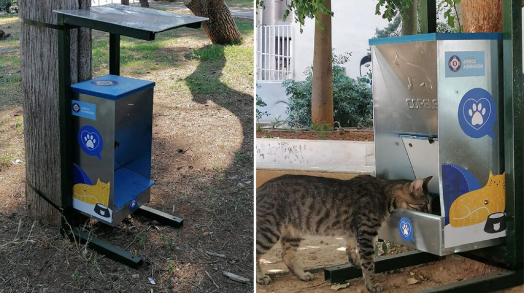 Δήμος Αθηναίων: Ταΐστρα για τα αδέσποτα