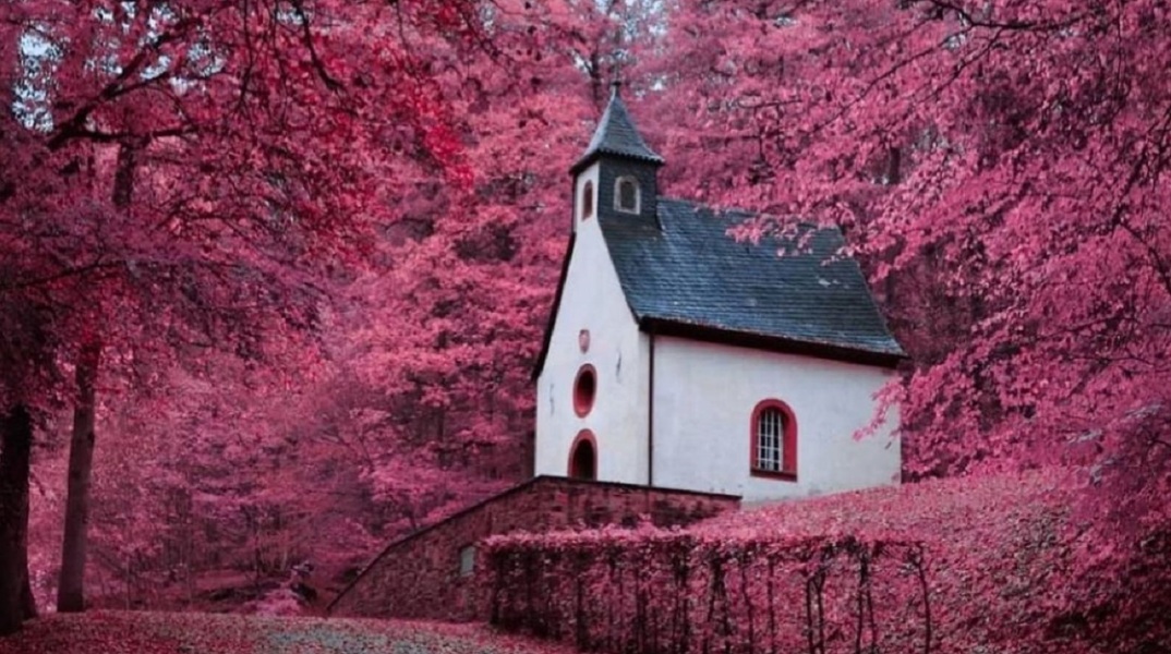 Gregory Kom @momentsofgregory