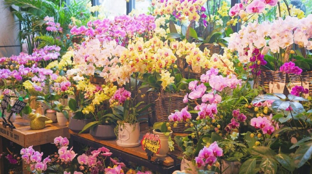 Ανθοπωλείο