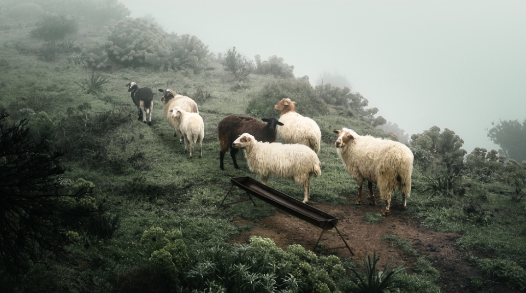 Sony World Photography Awards 