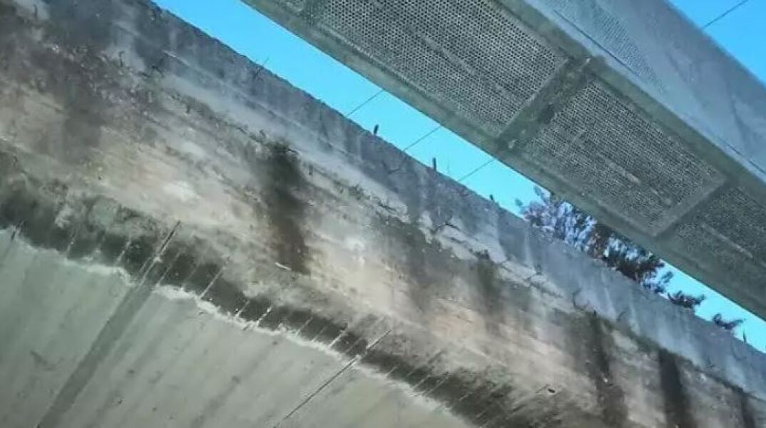 Κρέμασαν σκύλο σε γέφυρα στα Χανιά