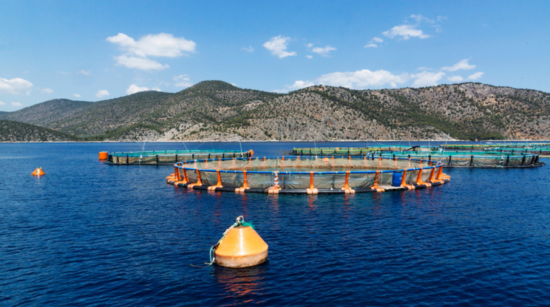 Μελέτη με θέμα «Σύγχρονες Iχθυοτροφές Θαλασσινών Ψαριών για τη Διασφάλιση Υψηλής Διατροφικής Αξίας και Ευζωίας» 