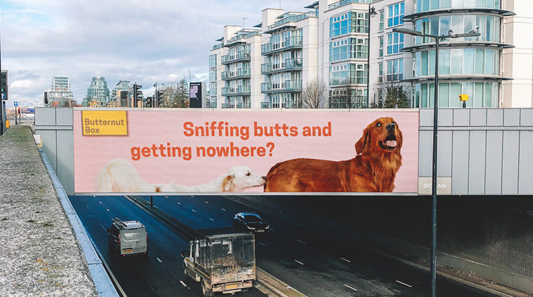 Η παραμυθένια ζωή του τετράποδου Σταύρου