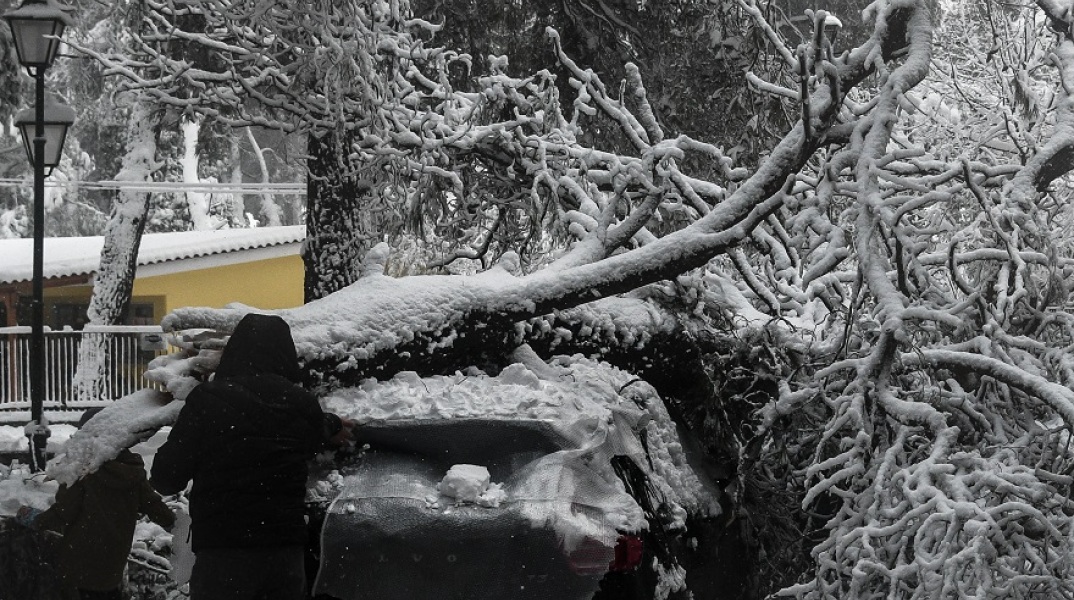 Πτώση δέντρου σε αυτοκίνητο από την κακοκαιρία