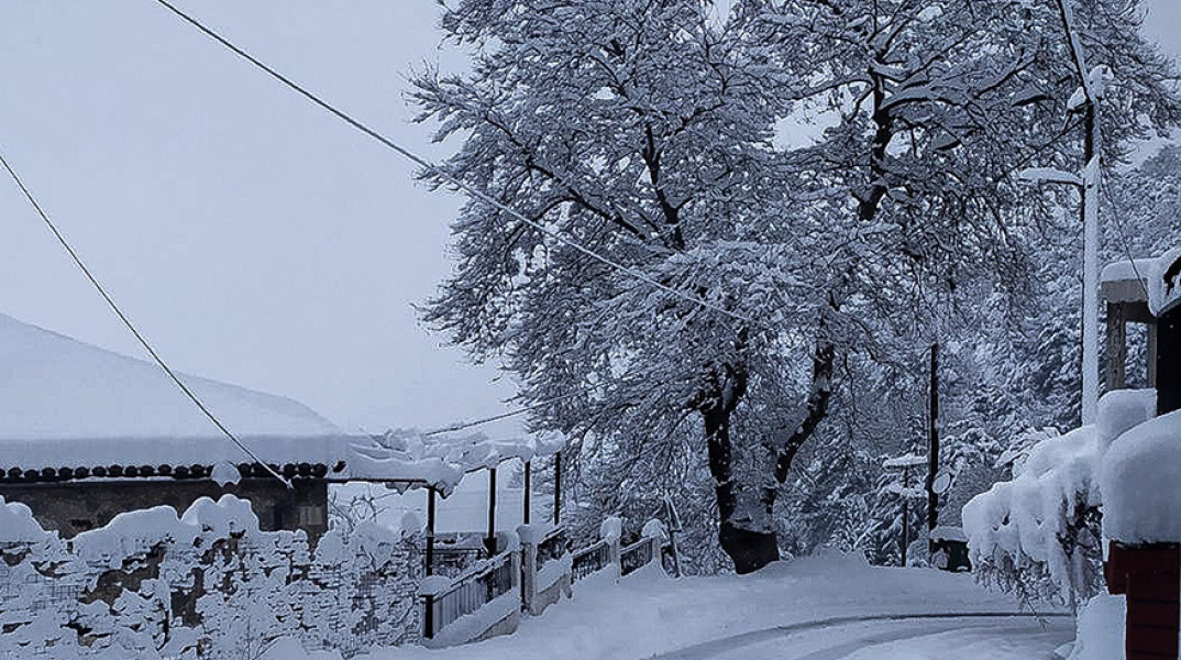 ΧΙΟΝΟΠΤΩΣΗ ΣΤΟ Ν. ΦΘΙΩΤΙΔΑΣ