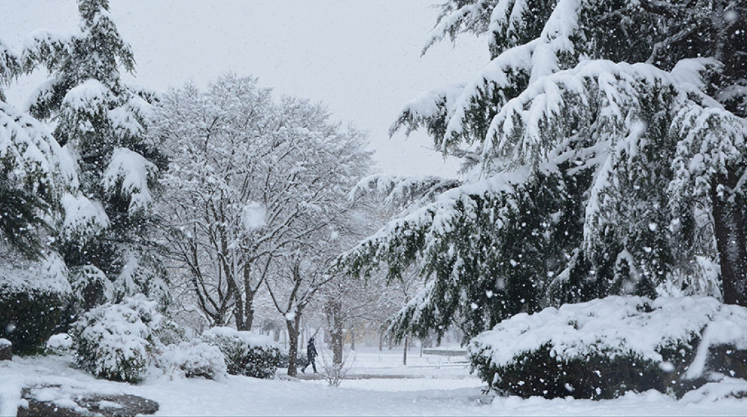 Λάρισα - χιονοπτώσεις