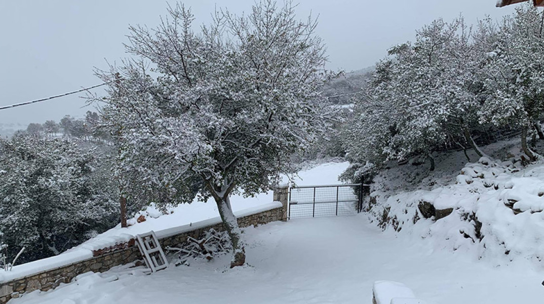 ΑΡΧΕΙΟ - Κακοκαιρία - Χιόνι