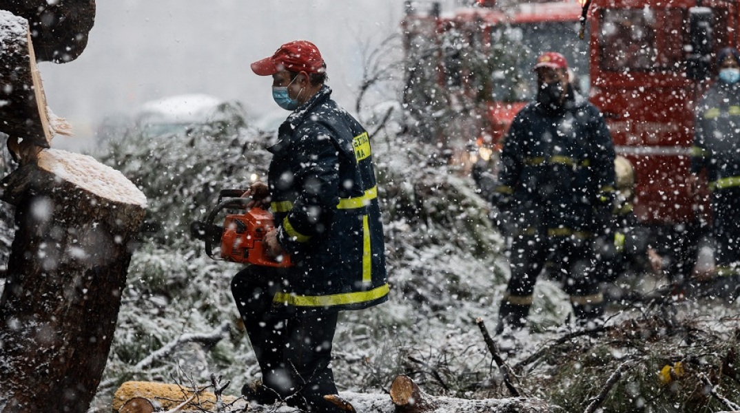Πτώση δέντρου στην Λεωφόρο Βασιλίσσης Σοφίας