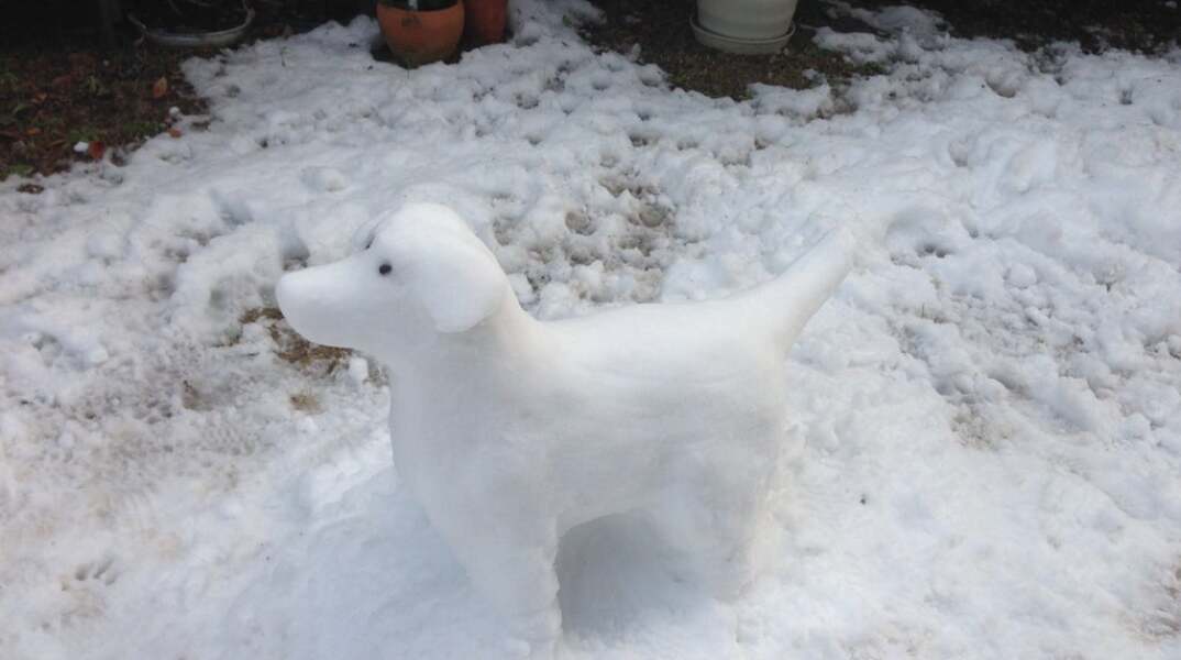 Ομοίωμα σκύλου φτιαγμένο από χιόνι