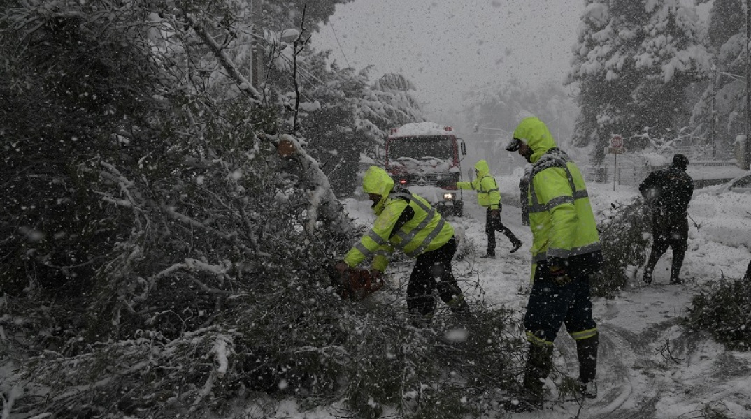 Πτώσεις δέντρων από την κακοκαιρία