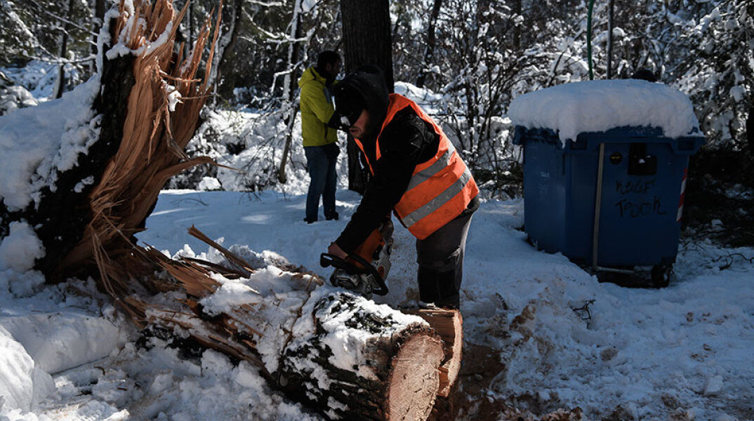 Κακοκαιρία «Μήδεια»: Κοπή πεσμένου δέντρου στον χιονισμένο Διόνυσο
