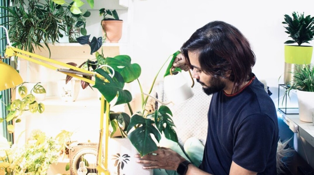 Η κηπουρική εσωτερικού χώρου βοηθά στην καταπολέμηση της μοναξιάς λόγω lockdown