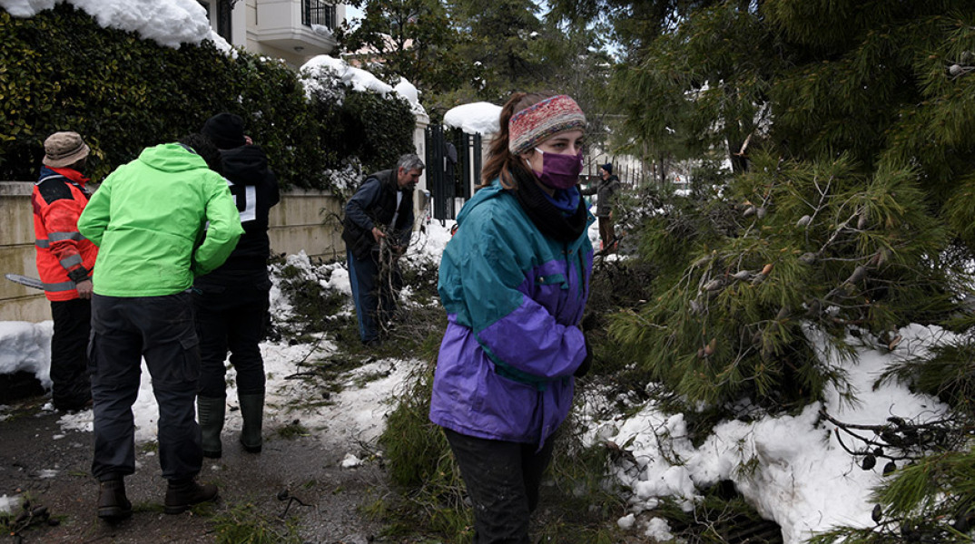 ΟΙ ΠΡΟΣΚΟΠΟΙ ΔΙΟΝΥΣΟΥ ΣΥΜΒΑΛΛΟΥΝ ΣΤΗΝ ΑΝΤΙΜΕΤΩΠΙΣΗ ΤΩΝ ΠΡΟΒΛΗΜΑΤΩΝ ΑΠΟ ΤΗΝ ΧΙΟΝΟΠΤΩΣΗ ΣΤΟΝ ΔΙΟΝΥΣΟ