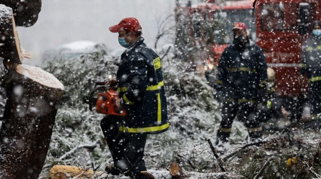 Μήδεια - Πτώση δέντρου