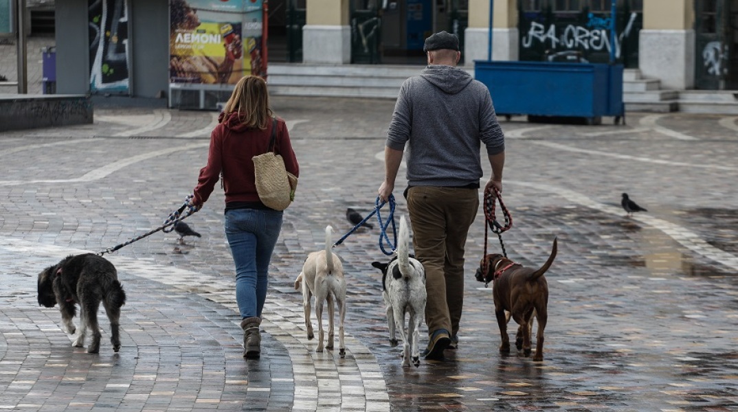 Ζώα συντροφιάς: Βόλτα στο κέντρο της Αθήνας
