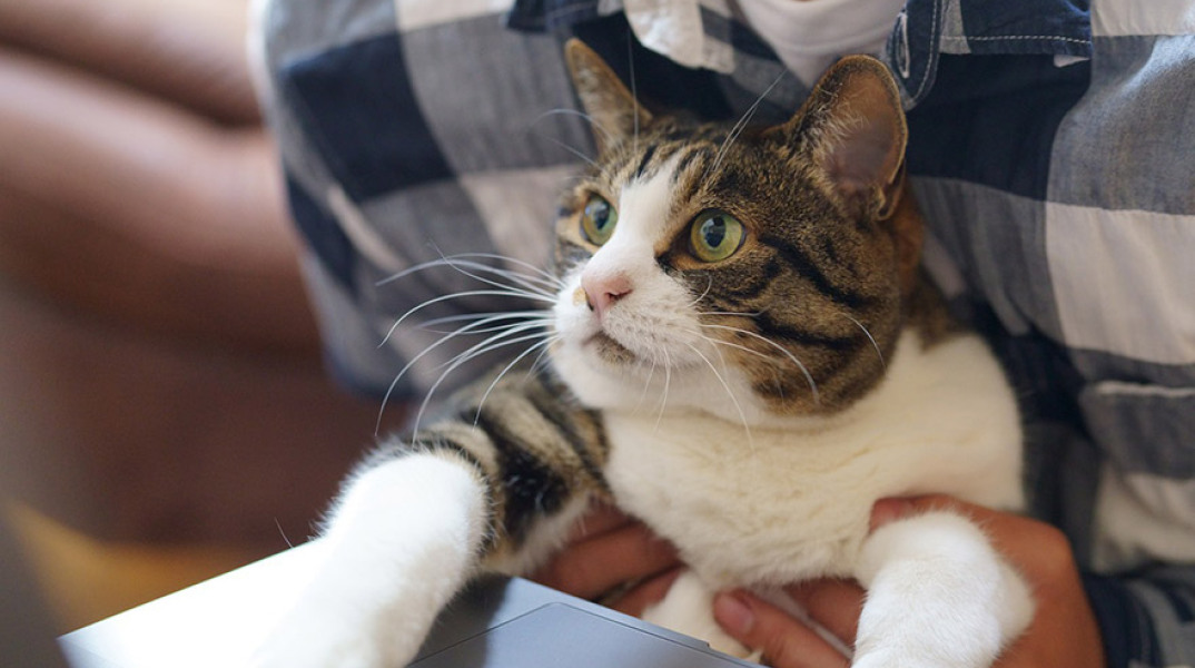 Εργασία σε υπολογιστή