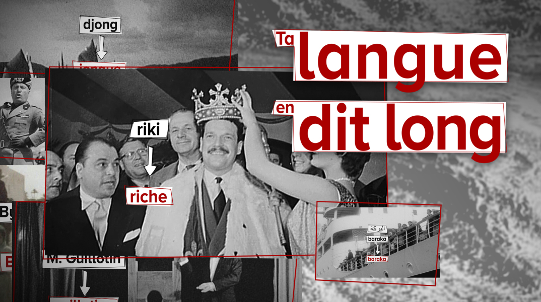 TV5MONDE - Ta langue en dit long