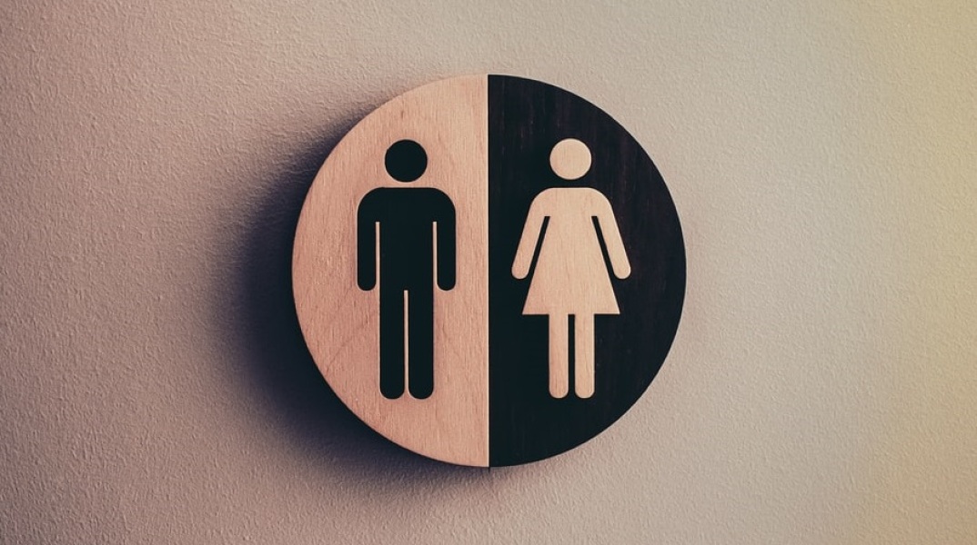 Ισότητα φύλων 