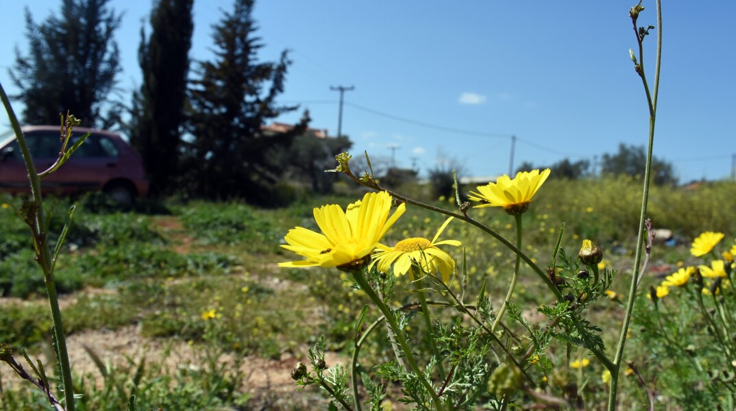 Ανοιξιάτικος ο καιρός σήμερα