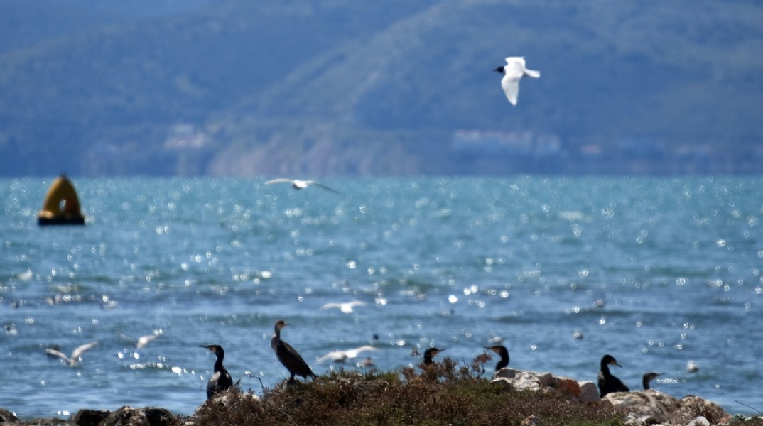 Καιρός - Καλοκαιρία 