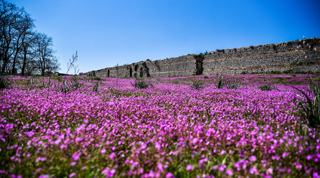Καιρός - Ήπειρος: Τα τείχη στην αρχαία Νικόπολη σε ανοιξιάτικο σκηνικό