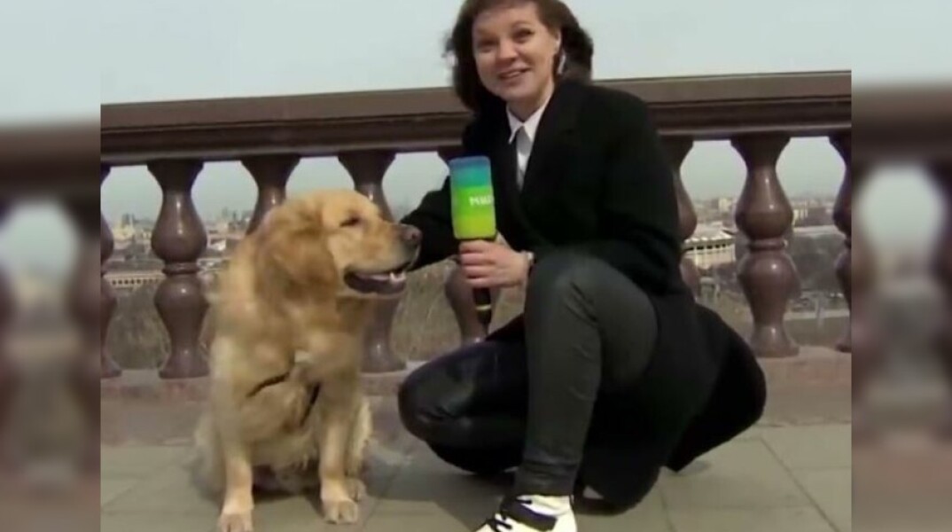 Η Ναντιέζντα Σερέζκινα και ο Μάρτιν, το γκόλντεν ριτρίβερ