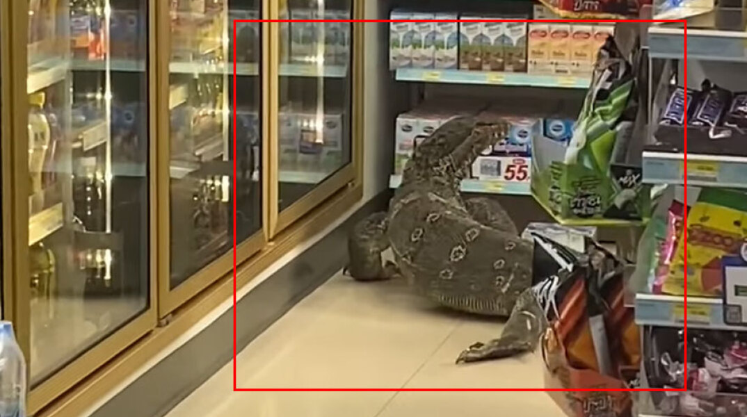 Η τεράστια σαύρα σε σούπερ μάρκετ στην Ταϊλάνδη