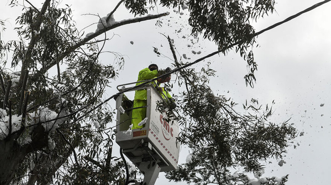 Καισαριανή: Συνεργεία καθαρίζουν από τα χιόνια καλώδια της ΔΕΗ στην πρόσφατη κακοκαιρία «Μήδεια»