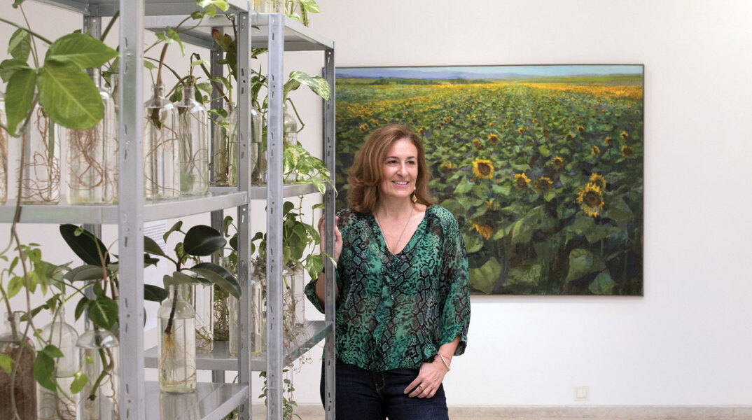 Δάφνη Ζουμπουλάκη, Γκαλερί Ζουμπουλάκη