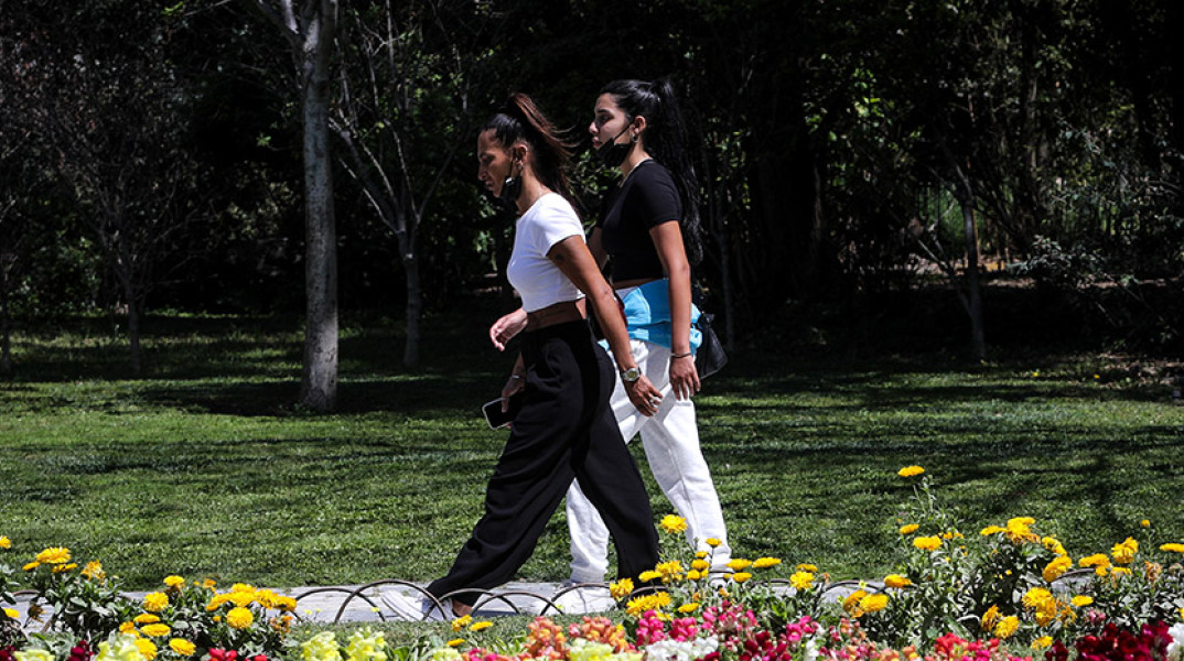 ΣΤΙΓΜΙΟΤΥΠΑ ΣΤΟΝ ΕΘΝΙΚΟ ΚΗΠΟ