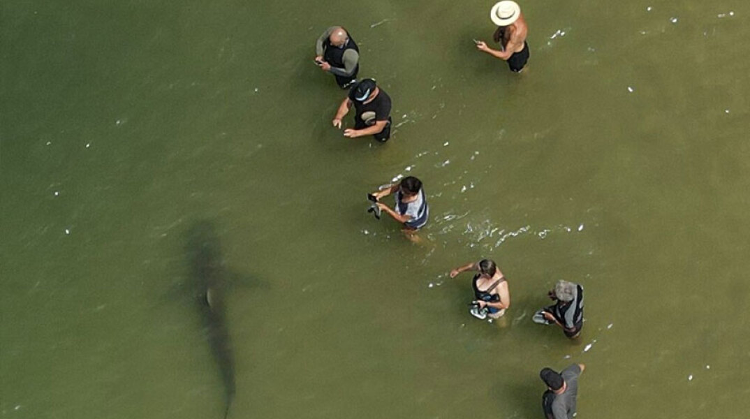 Λουόμενοι σε παραλία στο Ισραήλ βγάζουν φωτογραφία έναν από τους καρχαρίες που κολυμπά δίπλα τους