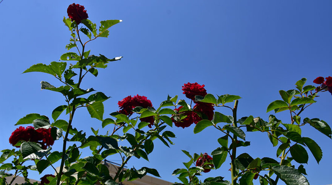 Πάσχα - Καιρός: Καλός αναμένεται τη Μεγάλη Εβδομάδα