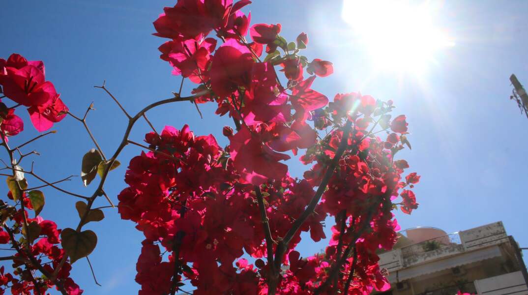 Ανοιξιάτικος καιρός 