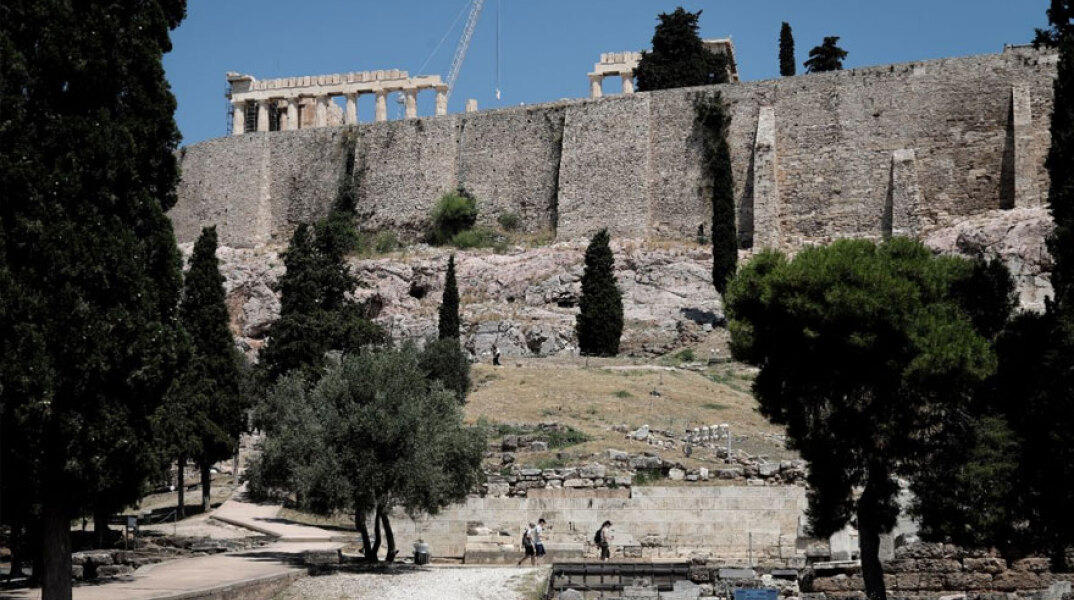 Ακρόπολη: Και όμως υπάρχουν 220 είδη φυτών γύρω από τον Ιερό Βράχο
