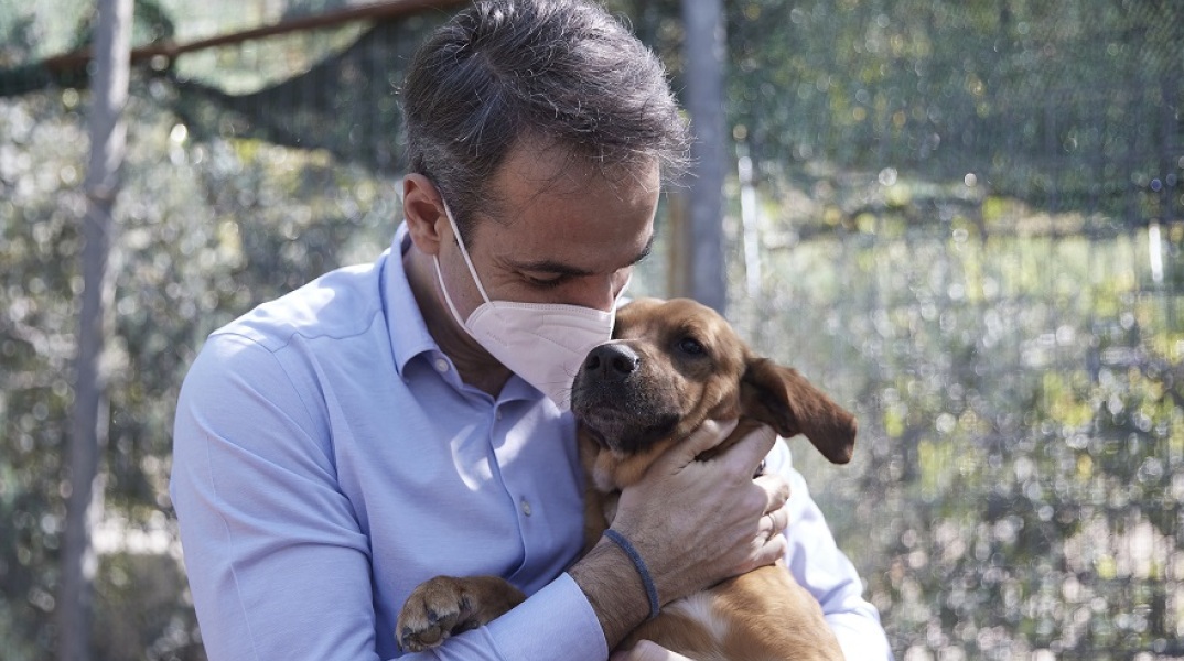 Ο Κυριάκος Μητσοτάκης και ο σκύλος του Μεγάρου Μαξίμου, Peanut