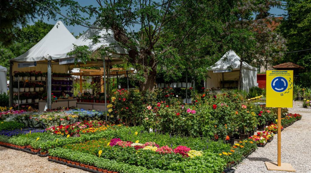 67η Ανθοκομική Έκθεση Κηφισιάς