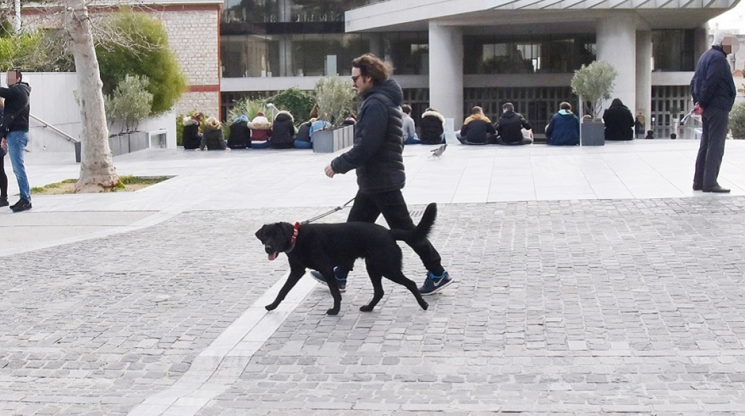 Βασίλης Χαραλαμπόπουλος