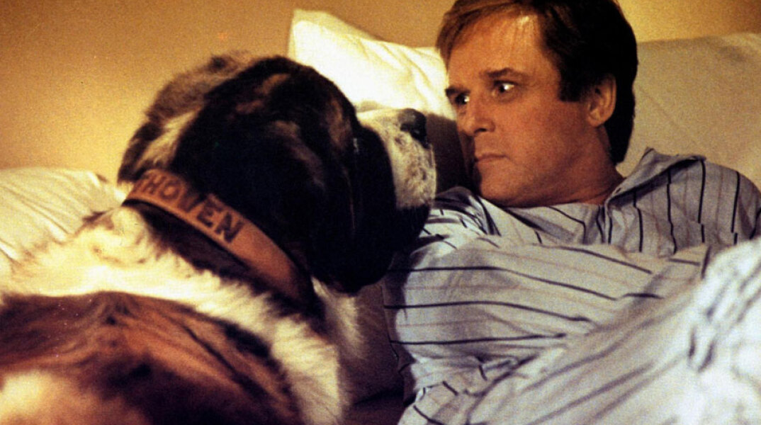 Ο Τσαρλς Γκρόντιν (Charles Grodin) πρόσωπο με πρόσωπο με τον «Μπετόβεν», τον πελώριο σκύλο Αγίου Βερνάρδου