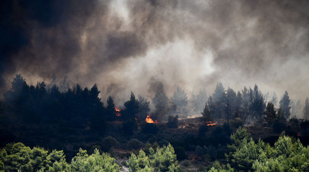 Φωτιά στην Κορινθία - Οι φλόγες καίνε δασική έκταση