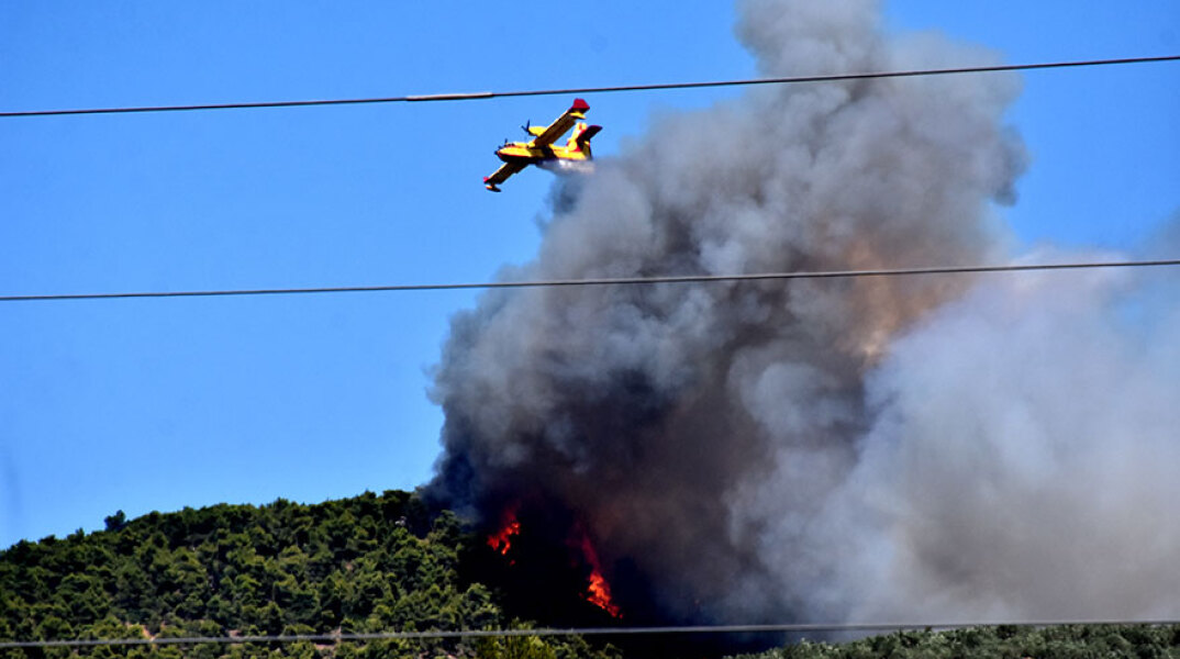 Φωτιά στην Κορινθία - Αεροσκάφος Canadair επιχειρεί στο πύρινο μέτωπο