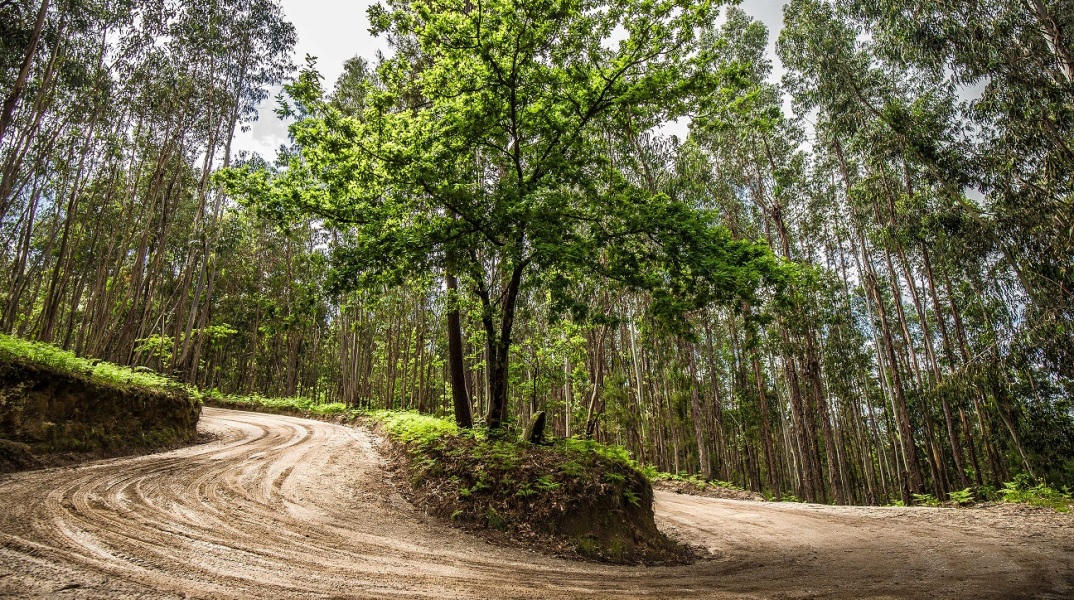 Ράλι Πορτογαλίας 2021