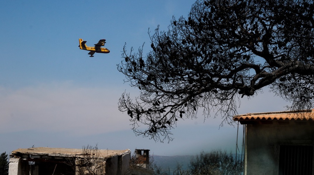 ΠΥΡΚΑΓΙΑ ΣΕ ΔΑΣΙΚΗ ΕΚΤΑΣΗ ΣΤΗΝ ΚΟΡΙΝΘΙΑ