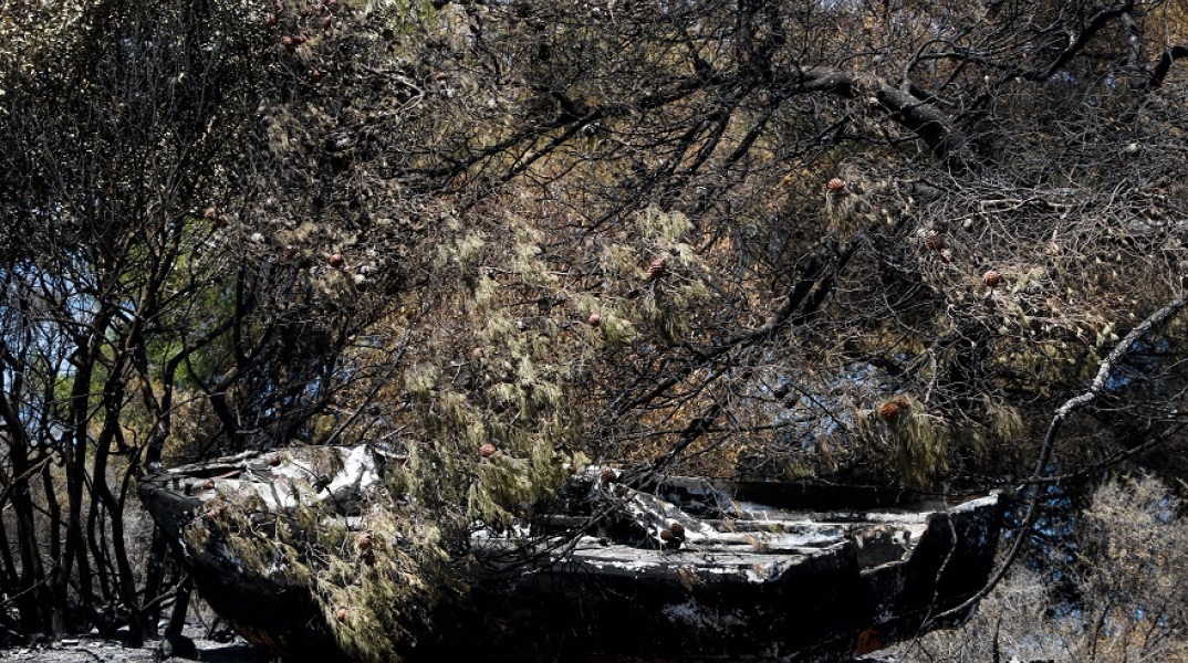 ΠΥΡΚΑΓΙΑ ΣΕ ΔΑΣΙΚΗ ΕΚΤΑΣΗ ΣΤΗΝ ΚΟΡΙΝΘΙΑ