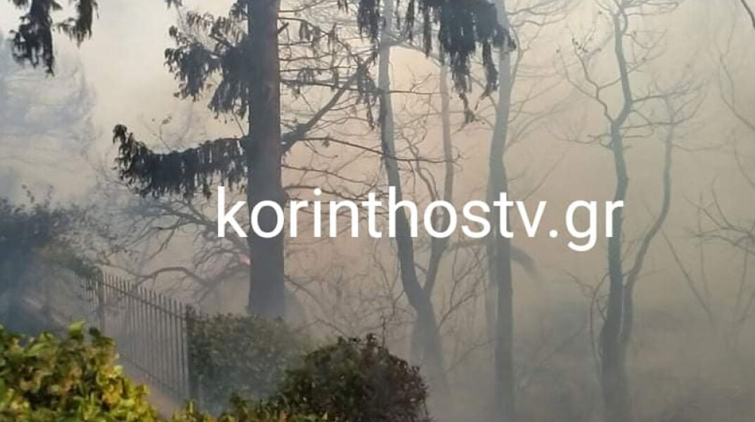 Φωτιά στα Ίσθμια: Οι φλόγες έφθασαν δίπλα σε σπίτια