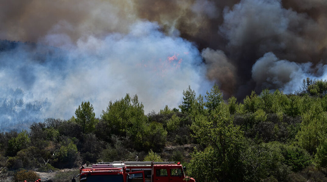 Δασική πυρκαγιά (ΦΩΤΟ ΑΡΧΕΙΟΥ)