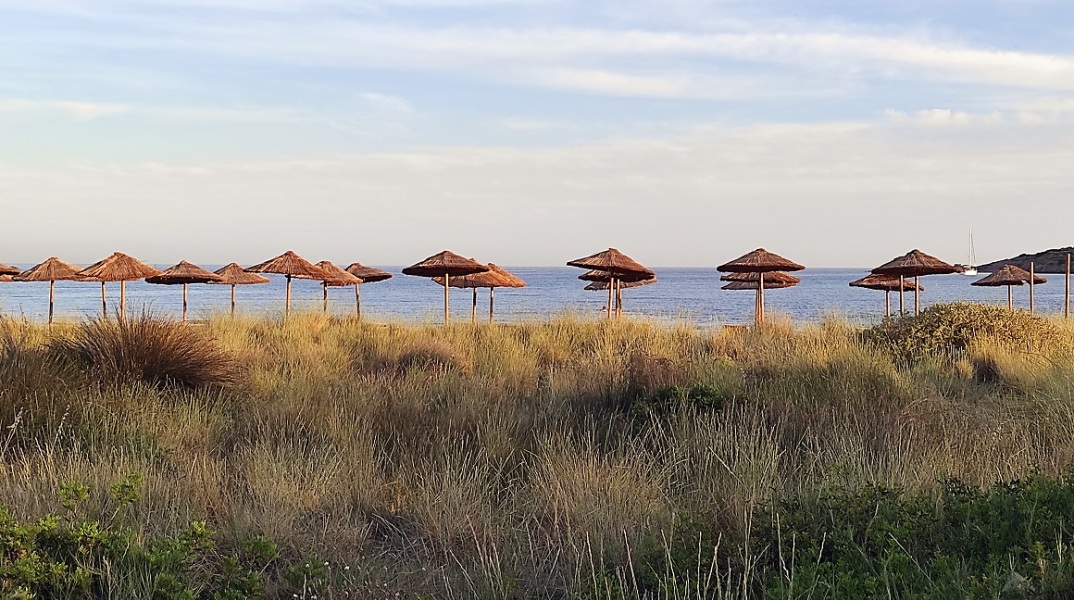 Ψάθινες ομπρέλες σε παραλία της Αττικής