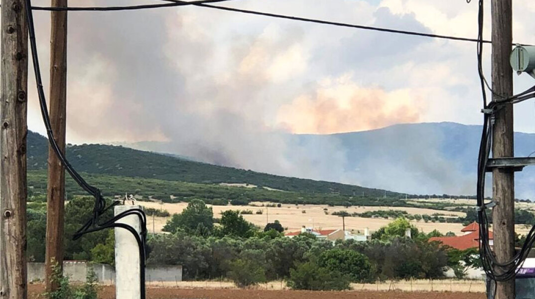 Θεσσαλονίκη: Εκδηλώθηκε φωτιά στη Θέρμη - Καίει δάσος και χαμηλή βλάστηση