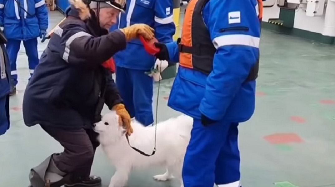 Διάσωση σκύλου