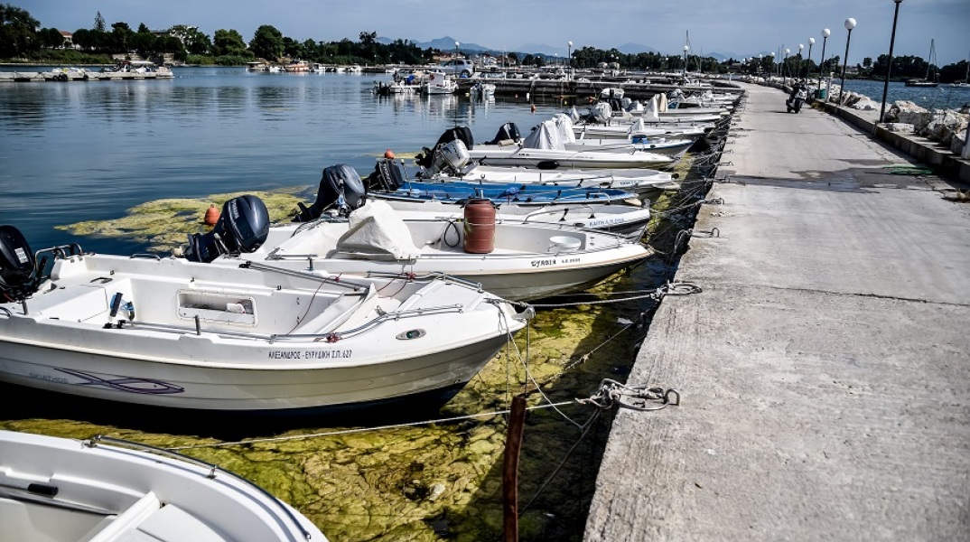«Πράσινη παλίρροια» στην Πρέβεζα